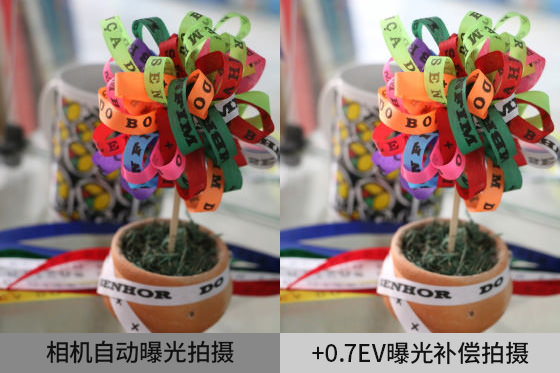 相機(jī)自動(dòng)曝光有時(shí)候不能獲得理想亮度。這時(shí)候可以使用曝光補(bǔ)償。