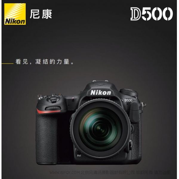 Nikon D500尼康宣傳彩頁 海報 宣傳冊 經(jīng)銷商宣傳畫冊 展會宣傳圖 