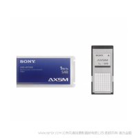 索尼 AXS-A1TS48(AXSA1TS48) AXS A 系列存儲卡，1 TB 容量，4.8 Gbps 保證寫入速度 