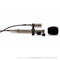 羅德 RODE NT6 帶遠(yuǎn)程極頭的小巧 1/2" 電容話筒 專(zhuān)門(mén)為難以安裝但又需要錄制較高質(zhì)量的音頻需要而設(shè)計(jì)