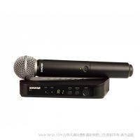 Shure 舒爾  BLX24/SM58 帶SM58的無(wú)線人聲系統(tǒng)  手持無(wú)線麥克風(fēng) 一拖一套包 