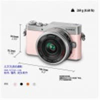 松下（Panasonic）GF9X微型單電套機（14-42mm電動鏡頭）4K美顏自拍神器、觸摸翻轉屏、WIFI傳輸 櫻花粉