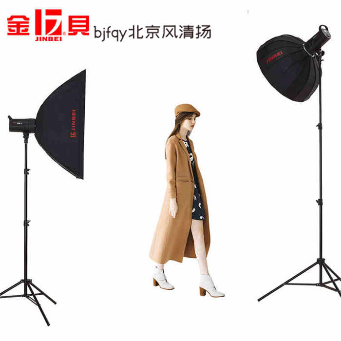 金貝DM500w攝影燈閃光燈補光燈人像服裝兒童淘寶產(chǎn)品拍照燈攝影棚